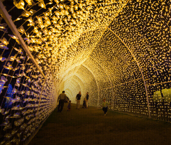 Standards of Living Study Outline